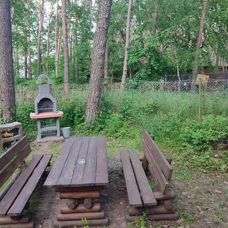 Boszkowo Domki-Stonki Экстерьер фото